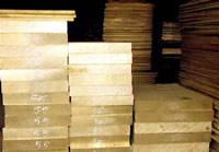 (yng)M(jn)US~HPB62-0.8M(jn)US~AHPB63-2