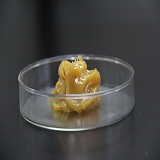 ߜ朗l͸ߜ朗l(lin)ߜ朗l