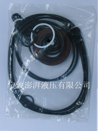 ʿ(l)A10VG45Һ
