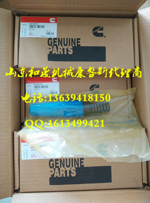 3016676 ˹K50l(f)늙CMÇ ֱN