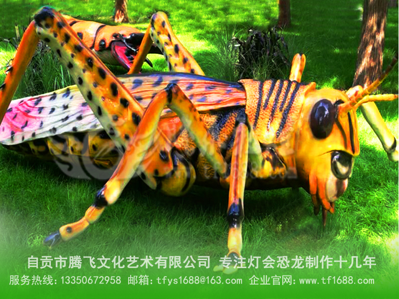 x(chng) (dng)