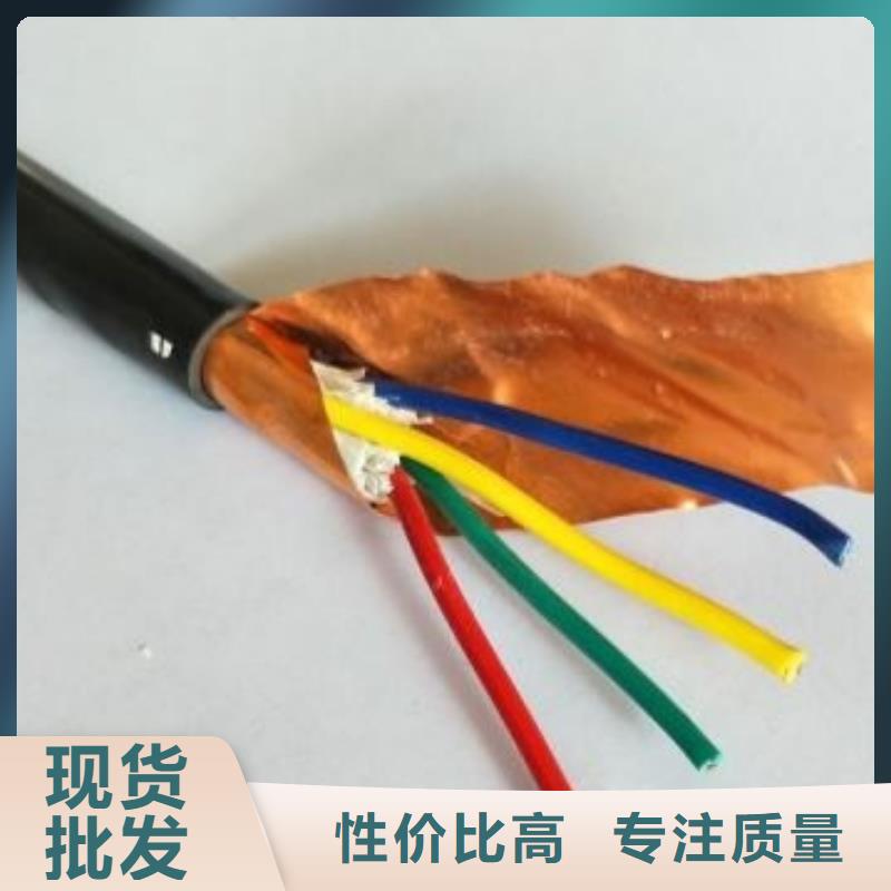 鎧裝計(jì)算機(jī)電纜WDZCN-DJYYP2-33-12*2*1.0