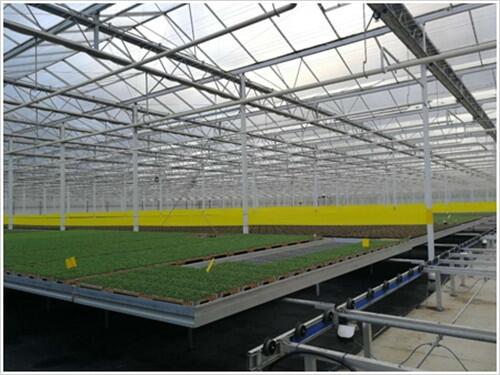 ڰb紲W(wng)r(sh)҂Ҫע(g)}