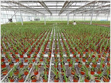 Ҵʹ紲Ďׂ(g)c(din)B