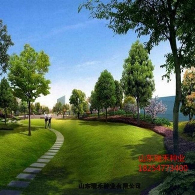 ͥԺķNƺNӺþGòݷN