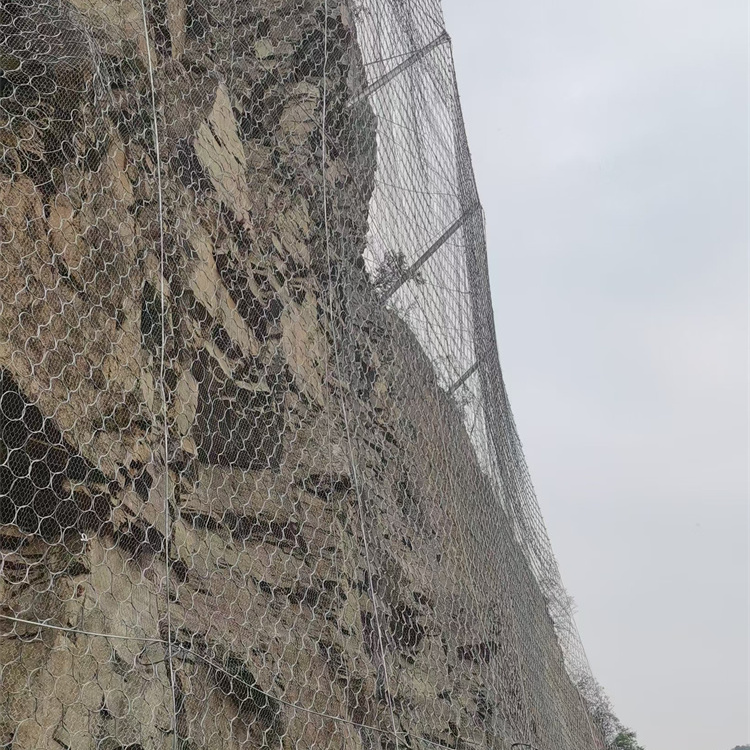 䓽zW(wng)߅·o(h)W(wng)a(chn)SҰܹo(h)ھW(wng)