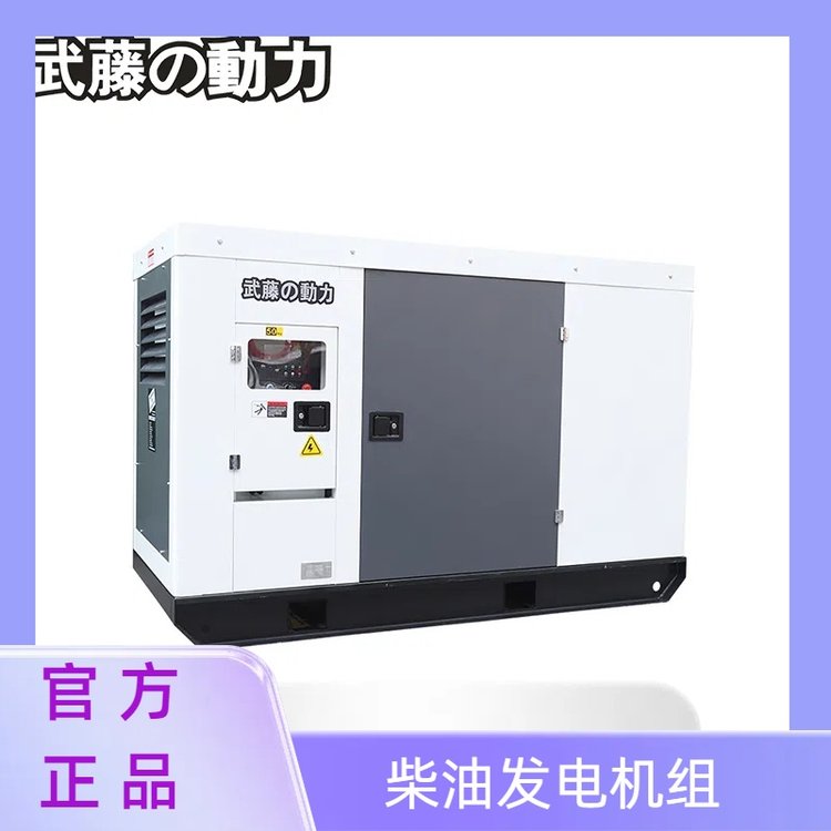 ل(dng)12kw15kw20kwͰl(f)늙C(j)Сͼ220VweС늆(dng)