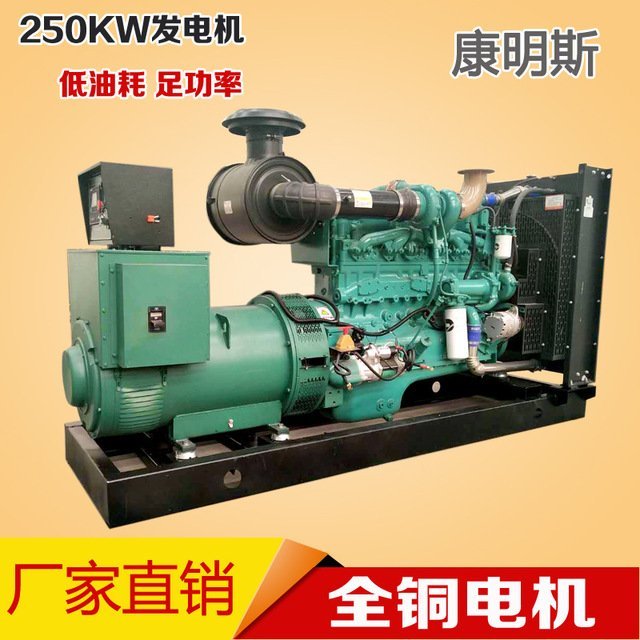 250KW˹Ͱl(f)늙C(j)Mسðl(f)늙C(j)250ǧ߰l(f)늙C(j)MSֱN